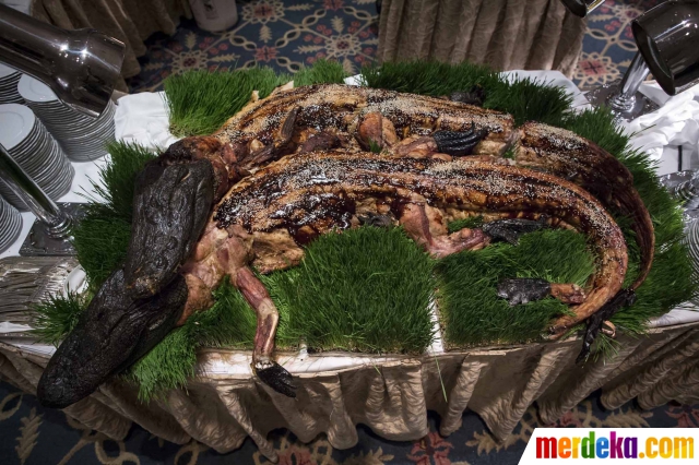 Foto : Ekstrem, acara dinner penjelajah alam ini sajikan 