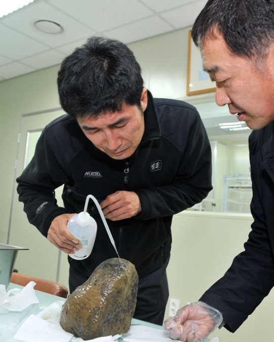 Ini wujud meteorit yang hujani Korea Selatan