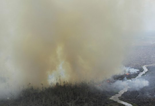 Parahnya kebakaran hutan Riau timbulkan asap tebal