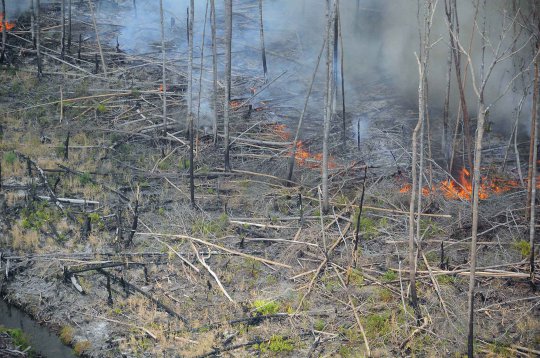 Parahnya kebakaran hutan Riau timbulkan asap tebal