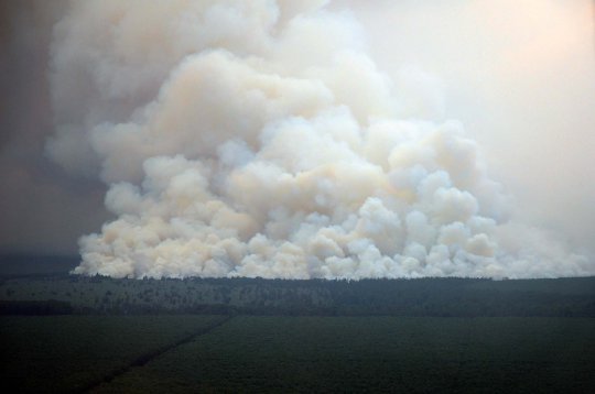 Parahnya kebakaran hutan Riau timbulkan asap tebal