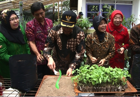 Mentan canangkan gerakan tanam cabai rawit merah