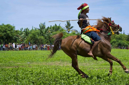 Tradisi Pasola, ritual Suku Sumba lempar tombak di atas kuda