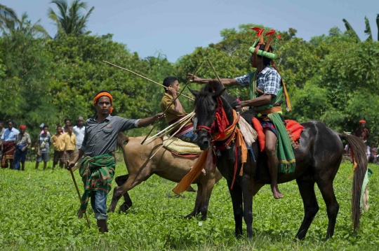 Tradisi Pasola, ritual Suku Sumba lempar tombak di atas kuda