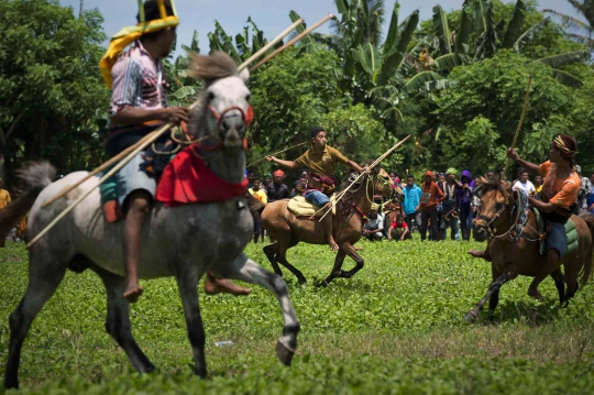 Tradisi Pasola, ritual Suku Sumba lempar tombak di atas kuda