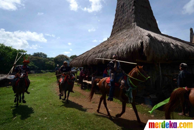 Foto : Tradisi Pasola, ritual Suku Sumba lempar tombak di 