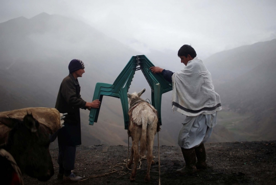 Kisah warga Afghanistan kirim logistik pemilu dengan keledai