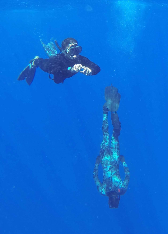 Aksi penyelam Australia cari MH370 di Samudra Hindia