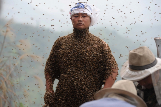 Aksi nekat pria China tutupi tubuh dengan 460.000 ekor lebah