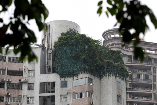 Unik, taman seluas 40 Meter persegi ini tumbuh di atas apartemen