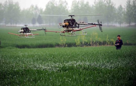 Cara unik petani China saat semprotkan pestisida di sawah