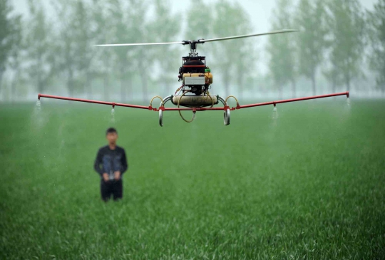Cara unik petani China saat semprotkan pestisida di sawah