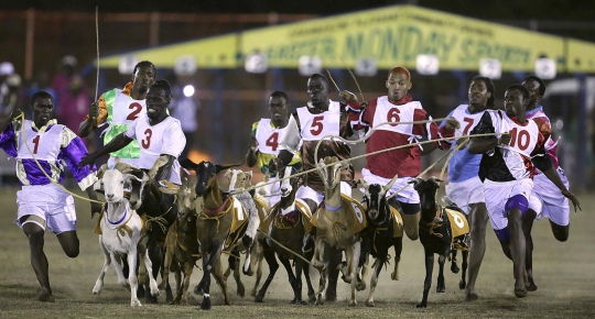 Kemeriahan balapan kambing tahunan di Trinidad dan Tobago