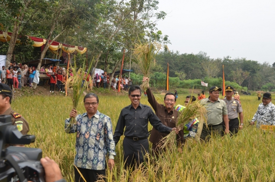 Kunjungan kerja Mentan Suswono di Sumatera Barat