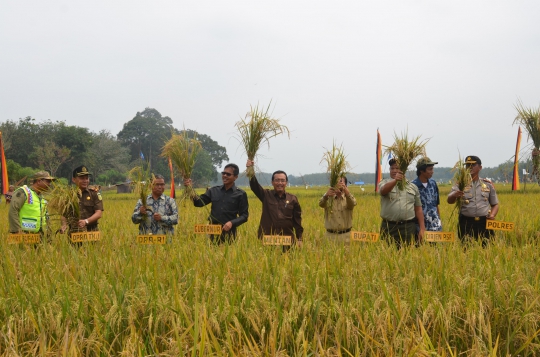 Kunjungan kerja Mentan Suswono di Sumatera Barat