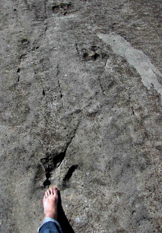 Menelusuri jejak kaki dinosaurus di Turkmenistan