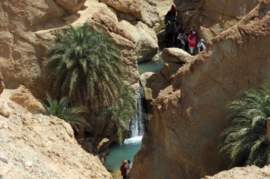 Menikmati kesegaran wisata oasis di tengah padang pasir Chibika