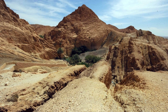 Menikmati kesegaran wisata oasis di tengah padang pasir Chibika