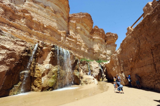 Menikmati kesegaran wisata oasis di tengah padang pasir Chibika