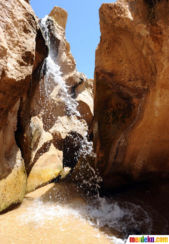 Foto : Menikmati kesegaran wisata oasis di tengah padang 