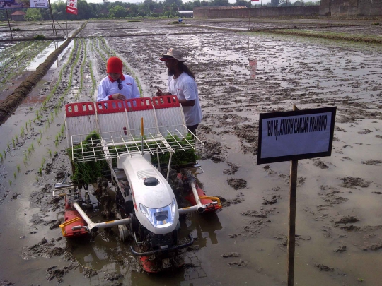 Aksi Ganjar Pranowo saat tanam padi di Karanganyar