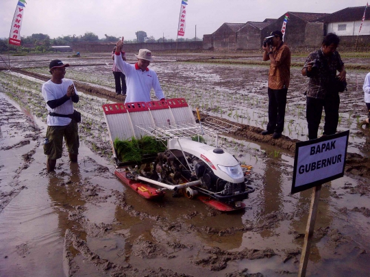 Aksi Ganjar Pranowo saat tanam padi di Karanganyar