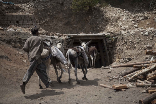 Jerih payah keledai pengangkut batu bara di Pakistan