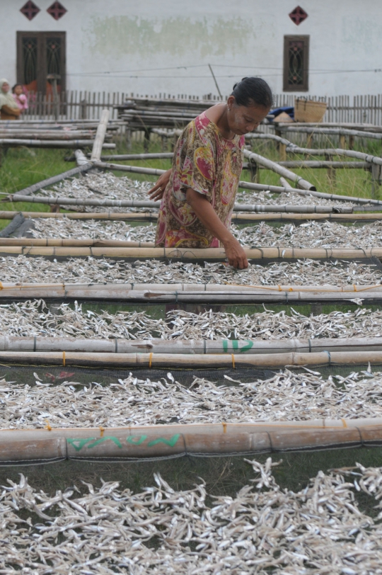 Kekurangan bahan baku, perajin ikan asin di Lampung mengeluh