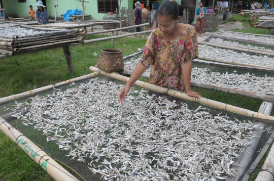 Kekurangan bahan baku, perajin ikan asin di Lampung mengeluh