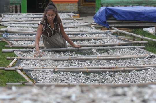 Kekurangan bahan baku, perajin ikan asin di Lampung mengeluh