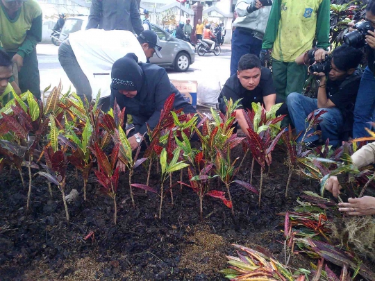 Wali Kota Risma tanam bunga di Taman Bungkul
