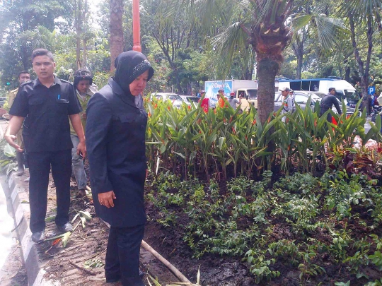 Wali Kota Risma tanam bunga di Taman Bungkul