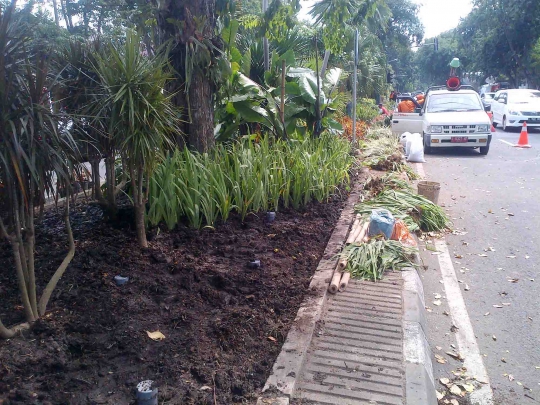 Wali Kota Risma tanam bunga di Taman Bungkul