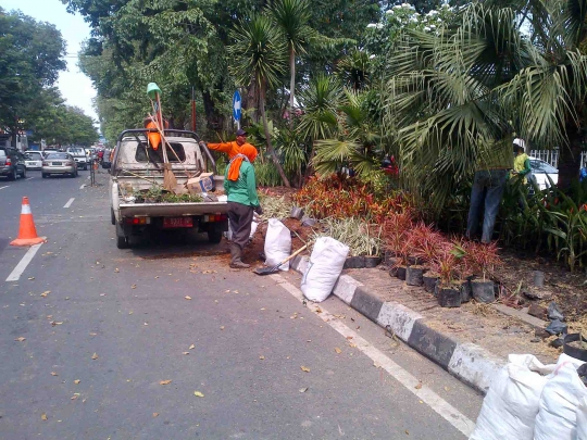 Wali Kota Risma tanam bunga di Taman Bungkul