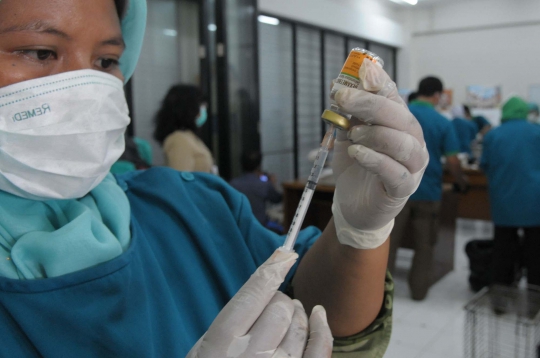 Mengintip operasi pemandulan kucing oleh Dinas Peternakan DKI