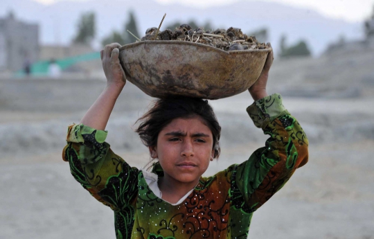 Kisah bocah pemungut kotoran sapi di Afghanistan