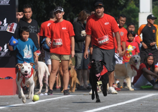 Lomba lari dengan anjing di Alpo Dog Run