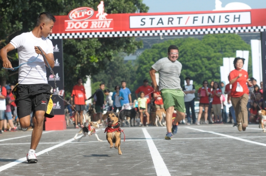 Lomba lari dengan anjing di Alpo Dog Run