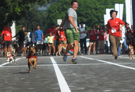 Lomba lari dengan anjing di Alpo Dog Run