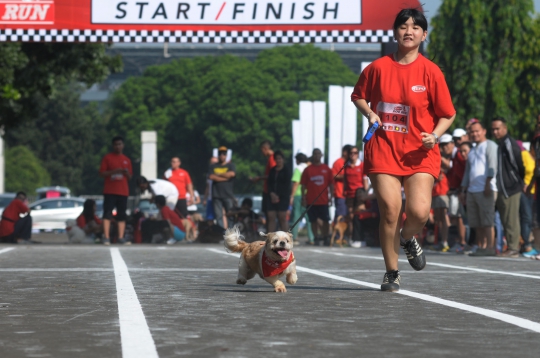 Lomba lari dengan anjing di Alpo Dog Run