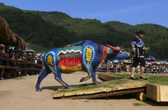 Uniknya kompetisi body painting kerbau di China