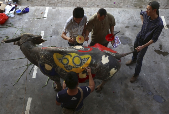 Uniknya kompetisi body painting kerbau di China