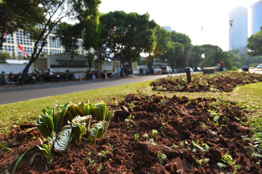 Ini taman depan KPU yang rusak terinjak massa Prabowo-Hatta