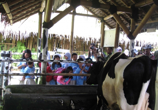 Kementan ajak anak-anak lihat proses perah susu sapi