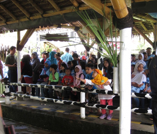 Kementan ajak anak-anak lihat proses perah susu sapi