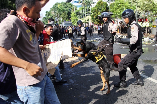 Simulasi pengamanan Pilpres, anjing polisi dikerahkan