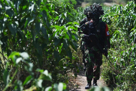 Aksi pasukan infanteri di Latgab TNI 2014