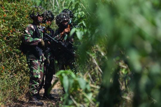 Aksi pasukan infanteri di Latgab TNI 2014