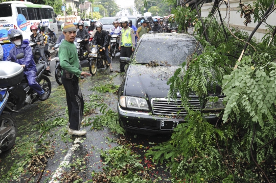 Sedan mewah tertimpa pohon tumbang di Menteng