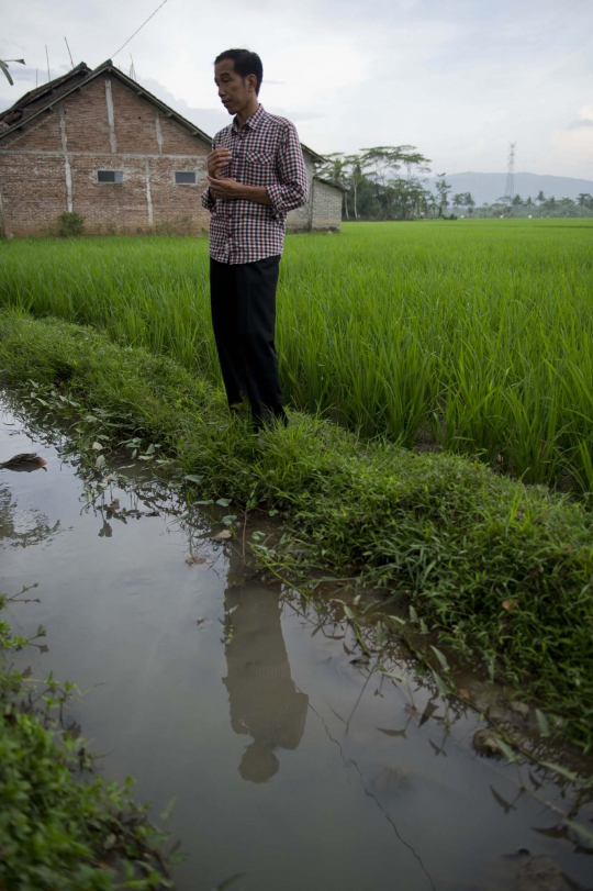 Aksi Jokowi ngobrol dengan petani di tengah sawah